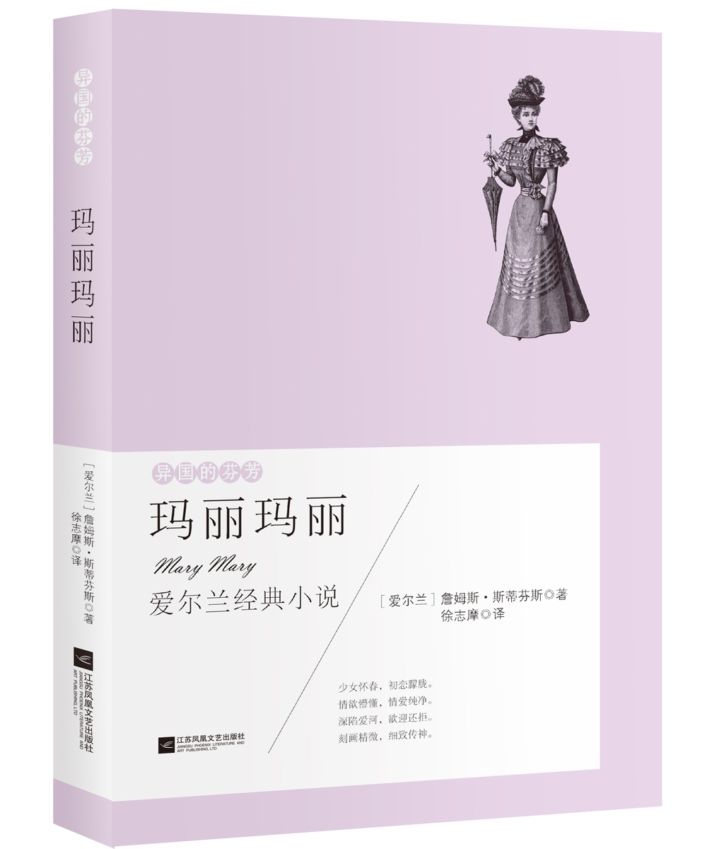 异国的芬芳 爱尔兰经典小说：玛丽玛丽