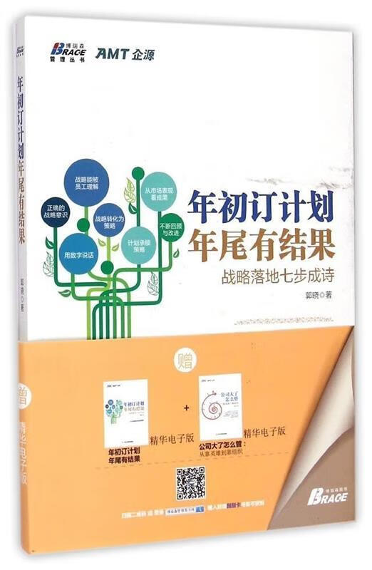 博瑞森管理丛书·年初订计划年尾有结果:战略落地