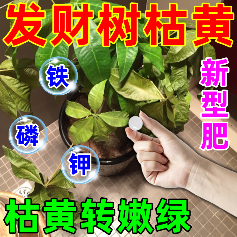 瓜果农喜发财树肥料营养液叶子发黄掉叶黄叶起斑烂根硫酸亚铁花肥缓释肥 1袋【20片】硫酸亚铁片 京东折扣/优惠券