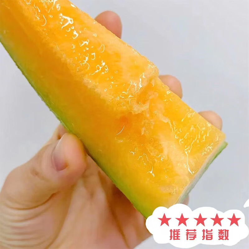 田园东方西州密瓜 应季新鲜水果（按压有弹性再食用） 哈密瓜带箱 5斤装（净重4.5斤）约2个