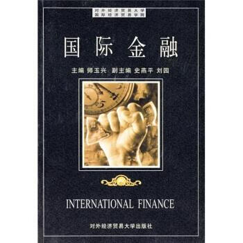 国际金融 师玉兴 编【正版】