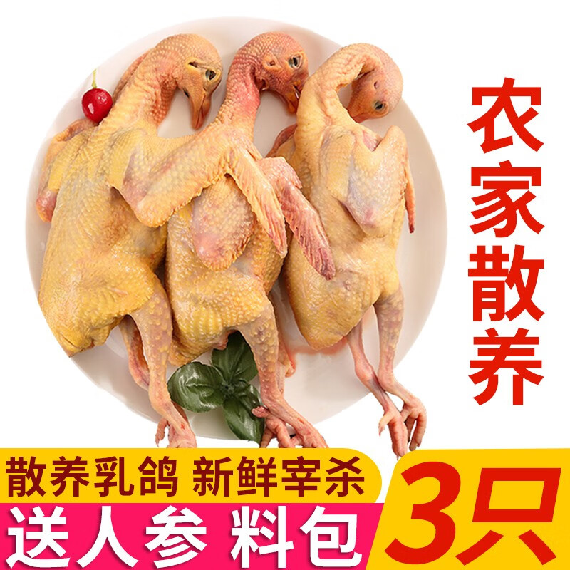 岽鲜 新鲜鸽子肉 新鲜冷冻农家老鸽子土鸽 煲汤烧烤食材 乳鸽生鲜 鸽子3只（每只400g）使用感如何?