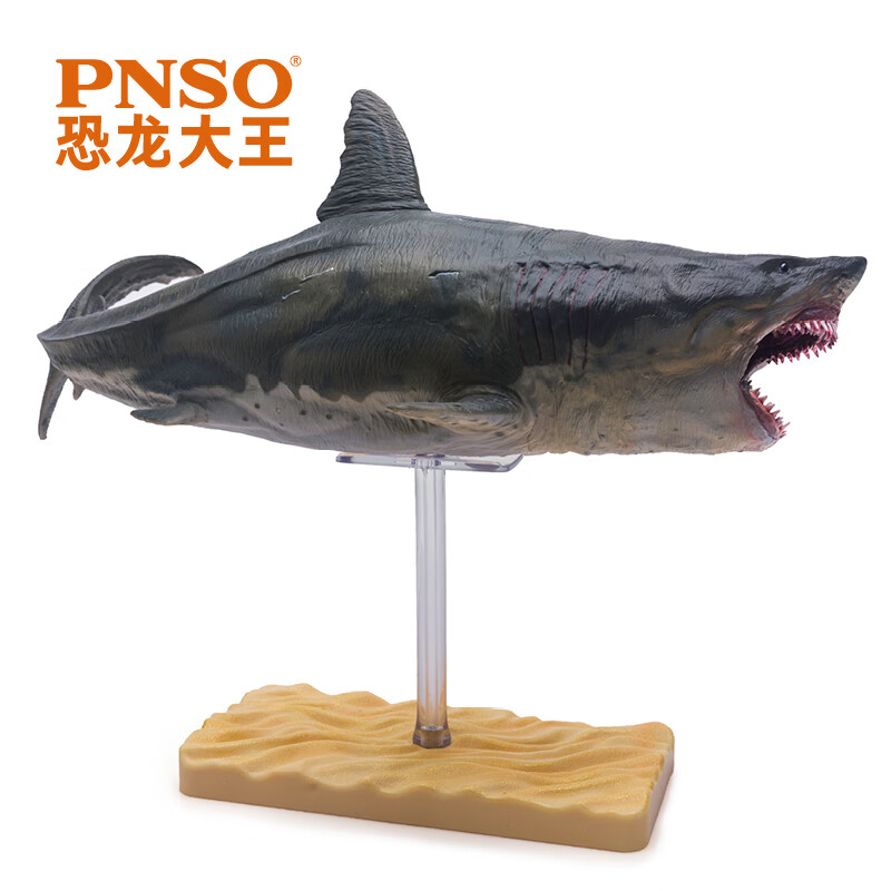 pnso巨齿鲨巴顿恐龙大王成长陪伴模型10