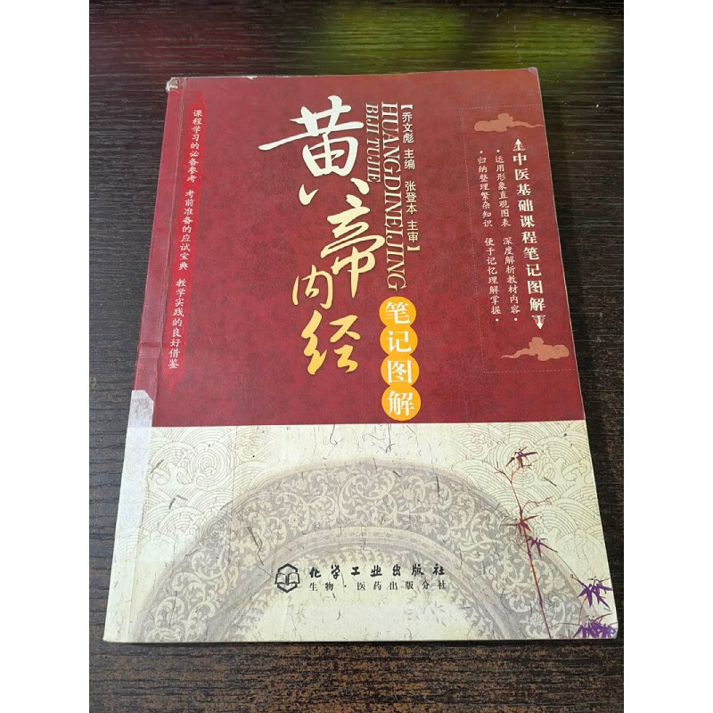 中医基础理论课程图解:黄帝内经笔记图解16开本203页 本203页