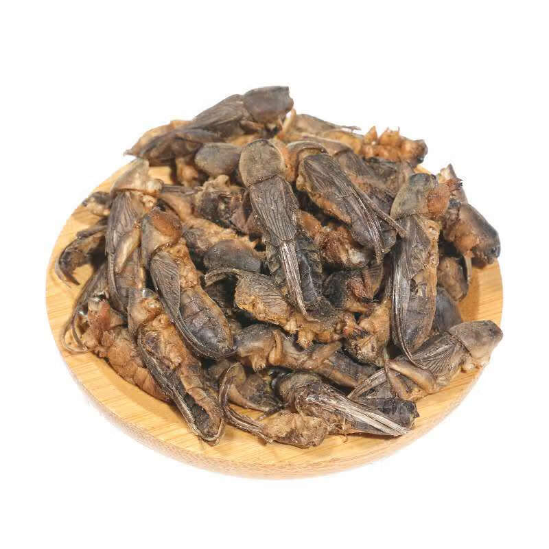 北京同仁堂蝼蛄 中药材蝼蛄干500g 代磨蝼蛄粉备注 另售土狗蝗虫干