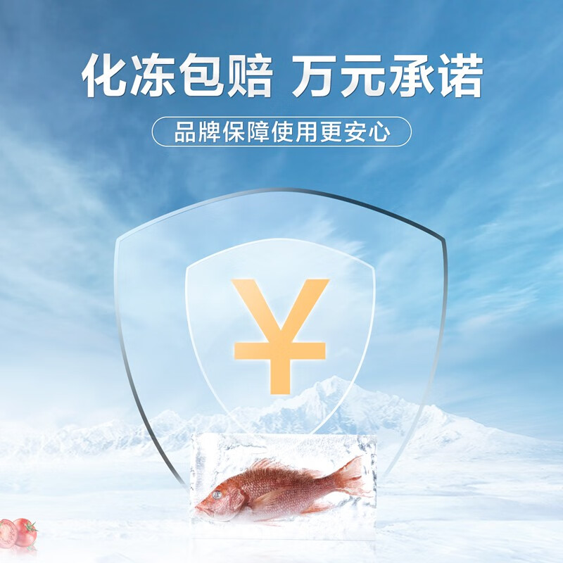 美的(Midea)202升 家用冰柜 双顶开双温柜 一级能效 省电低音卧式冰箱BCD-202DKM(E)