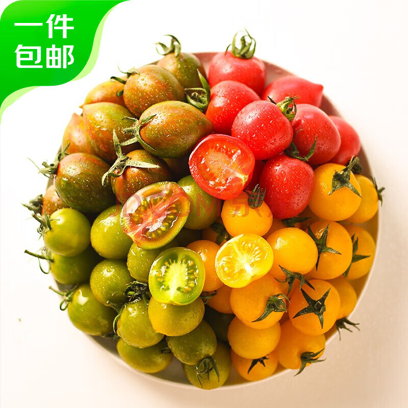 京地达五彩四色小番茄 圣女果组合 1.5kg装 新鲜蔬菜 源头直发