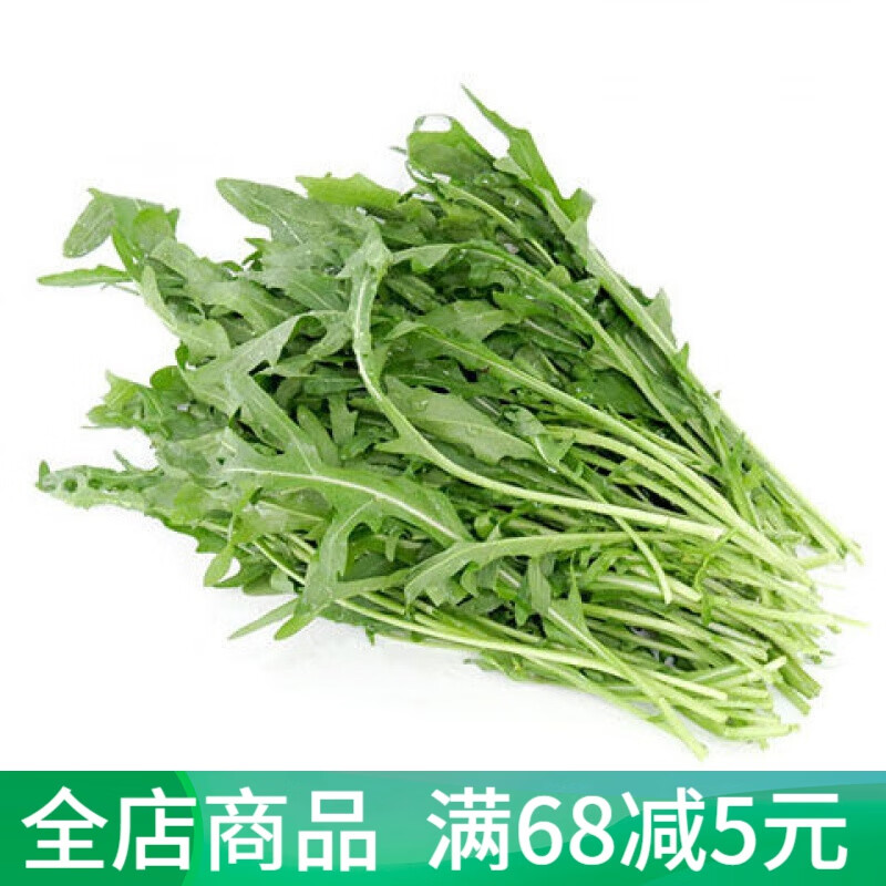 芝麻菜新鲜 火箭菜 沙拉蔬菜 芥菜 芝麻菜  250g半斤