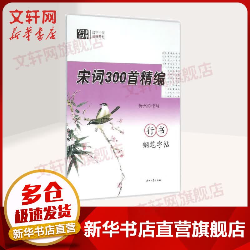 宋词300首精编行书钢笔字帖