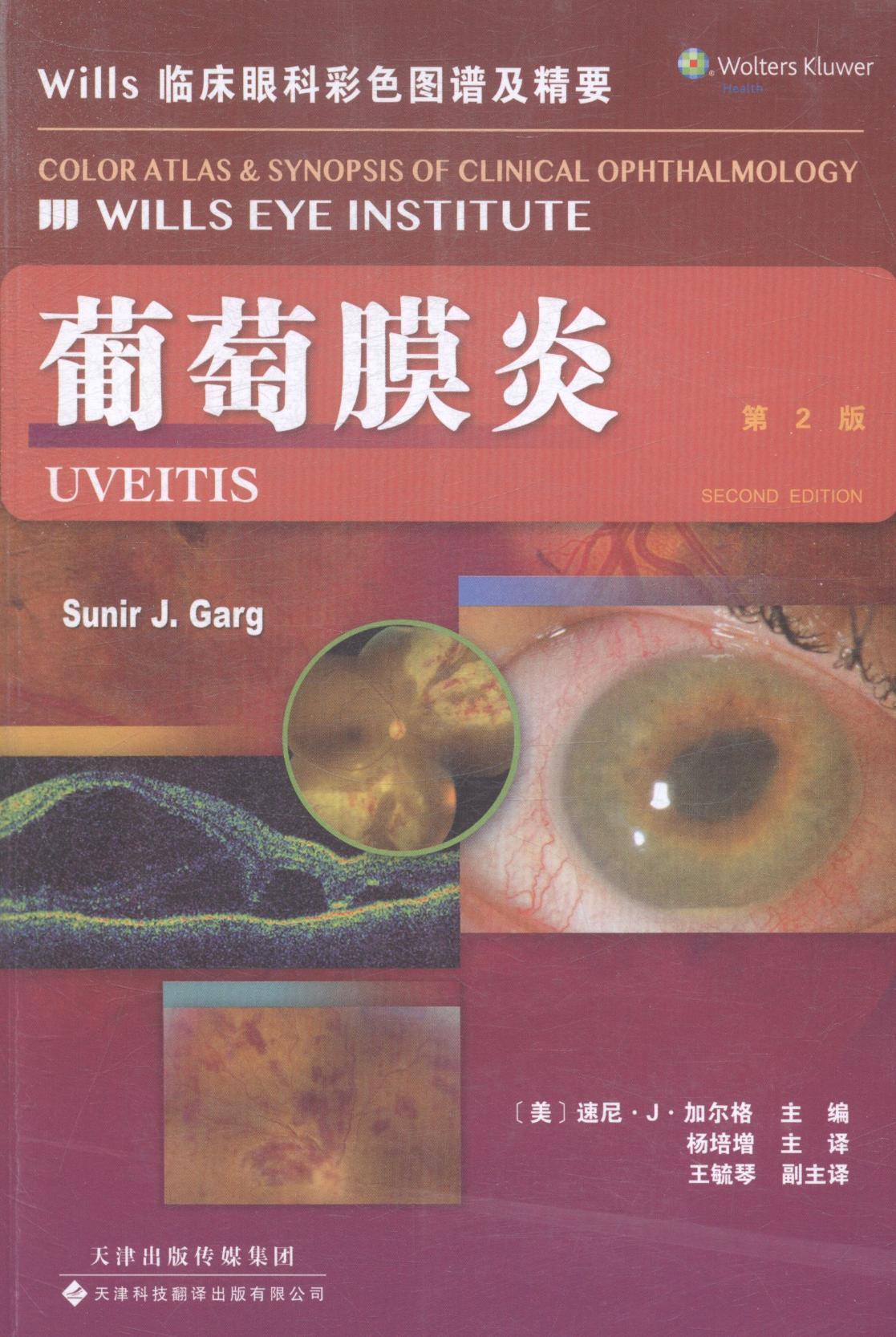 葡萄膜炎-wills 临床眼科彩色图谱及精要-第2版速尼··加尔格天津