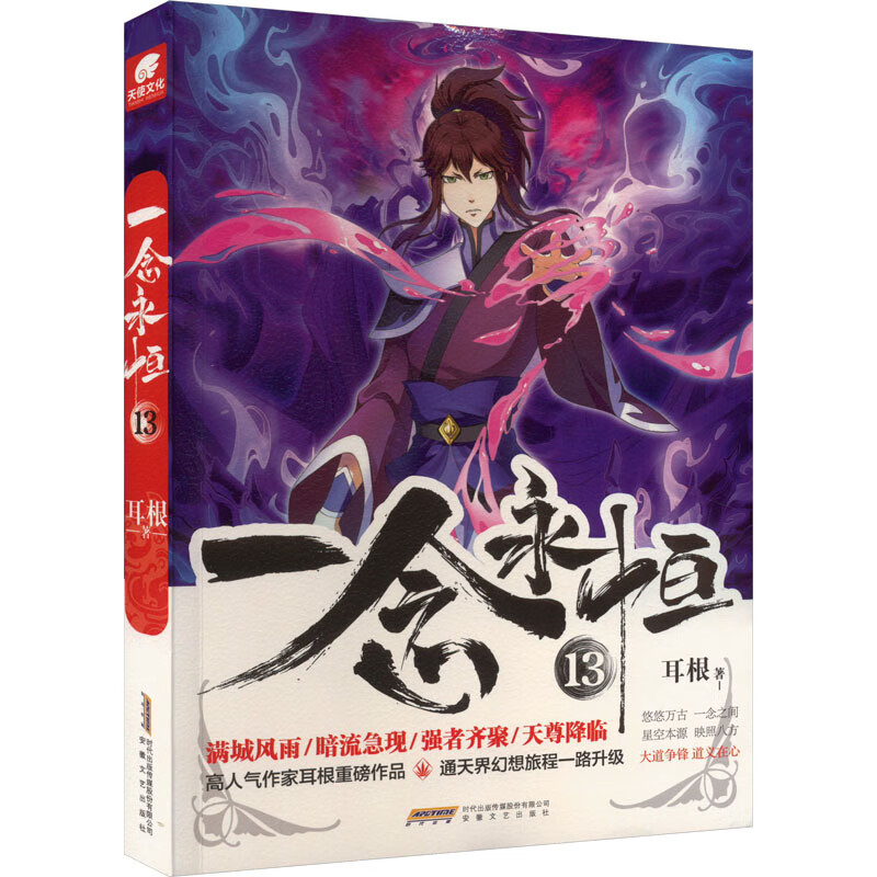 一念永恒 13 图书