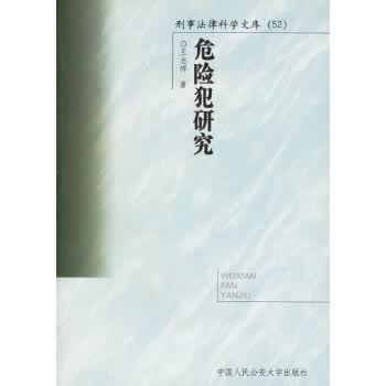 危险犯研究 【正版图书，放心购买】