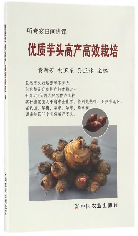 优质芋头高产高效栽培(听专家田间讲课)