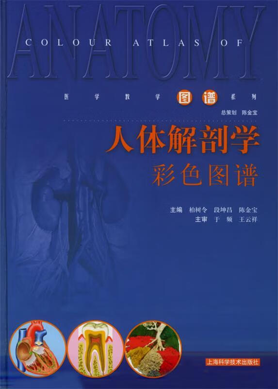 人体解剖学彩色图谱 柏树令,段坤昌,陈金宝 主编【正版】