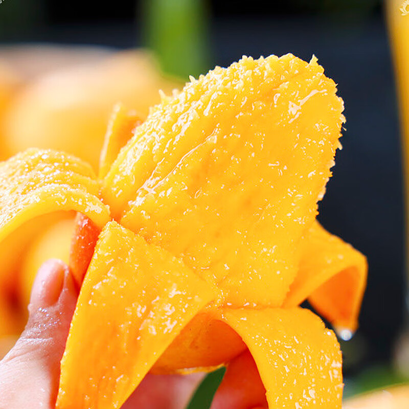 福欢欢海南小台农芒果 小台芒当季热带新鲜水果生鲜 大果【90g起】 3