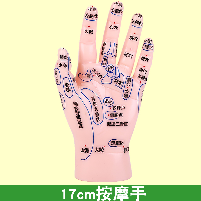 顾致手部穴位模型按摩小儿推拿手中医大字高清手穴反射区刻字模具人体