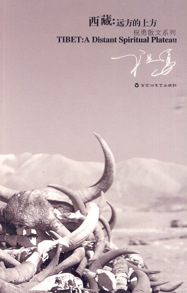 远方的上方【正版图书】