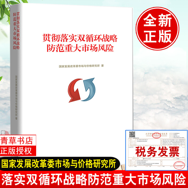 贯彻落实双循环战略防范重大市场风险国家发展改革委市场与价格研究所十四五规划中国市场中国价格市场监管价