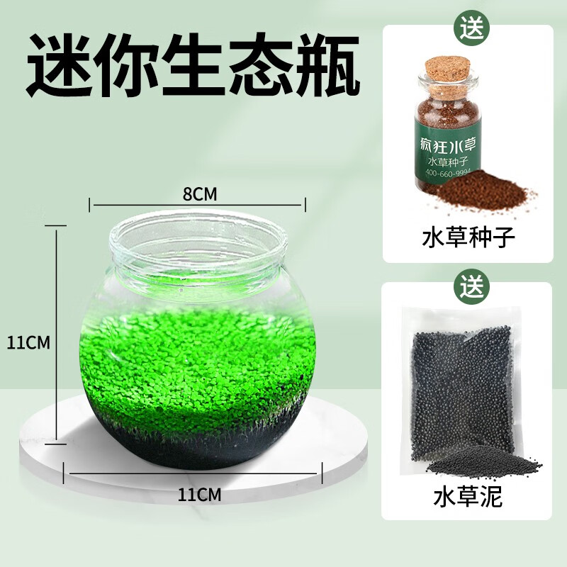 疯狂水草（FKSC）鱼缸造景活体植物装饰牛毛草种子套餐 迷你草原-小号微景观使用感如何?