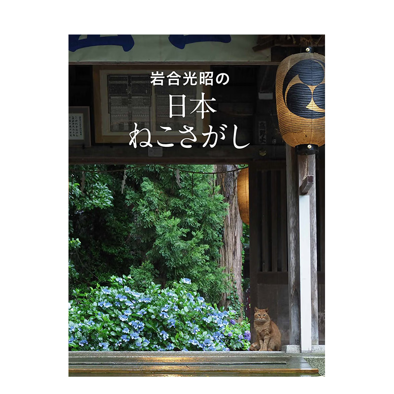 【现货】岩戈光昭的日本寻猫形动 日文原版进口摄影集 善本图书