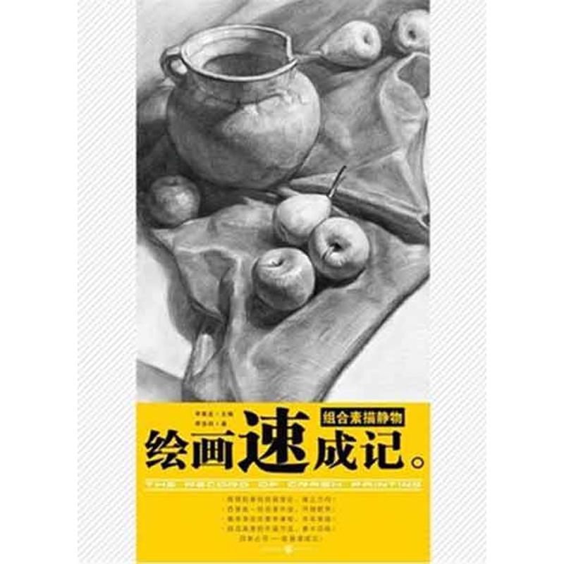 绘画速成记:组合素描静物