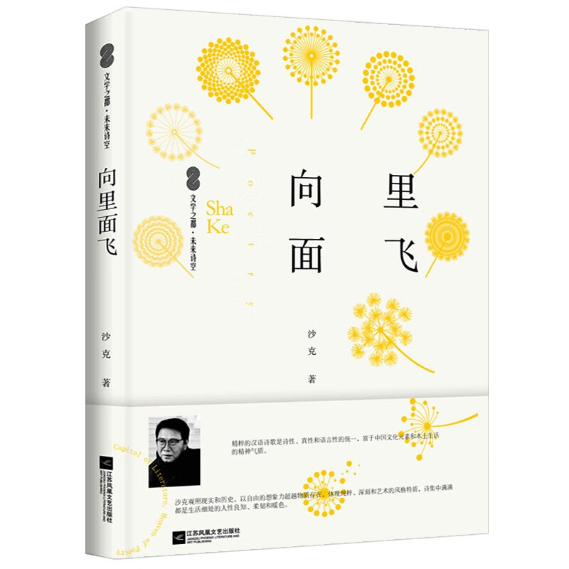 向里面飞 当代文学诗歌文学之都未来诗空系列沙克著