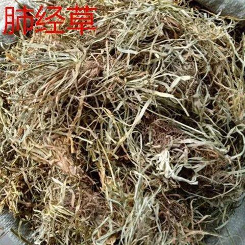 北京同仁堂原料野生肺心草野生肺筋草肺经草小叶自晒自收中草药材