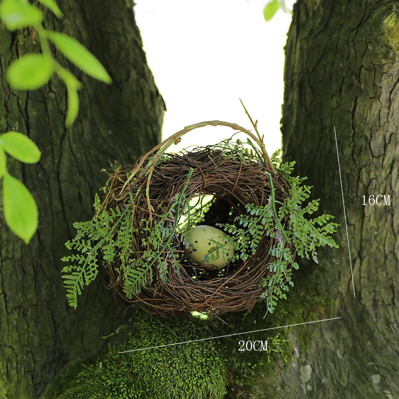 山恋津幼儿园自然角摆件草编树枝鸟巢鸟窝幼儿园植物角环创diy材料