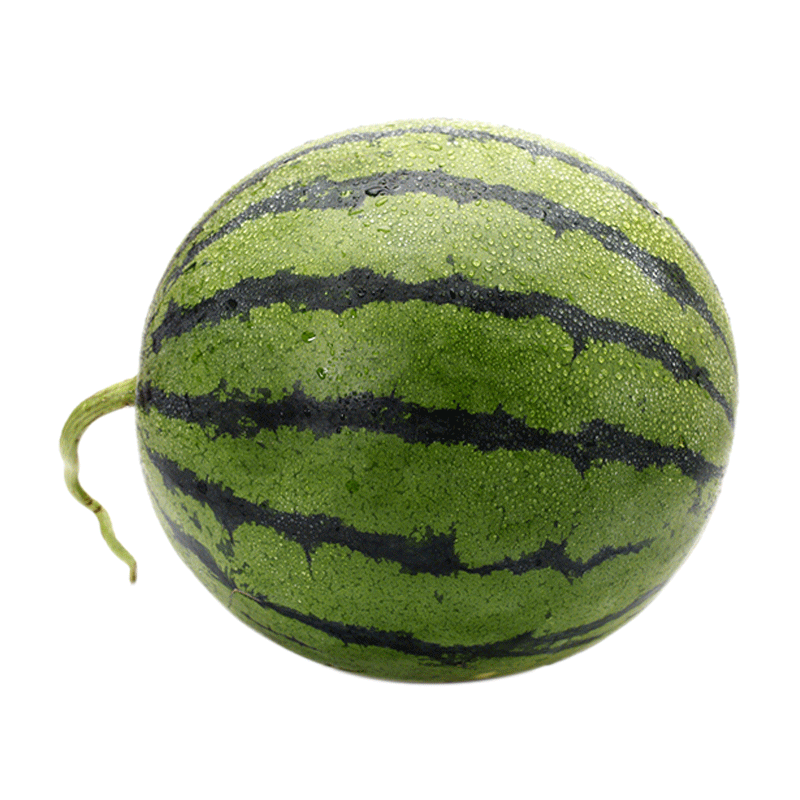 ٺ ɴ8424ɳȿ챡Ƥ 842410