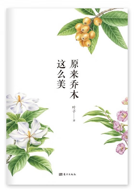 原来乔木这么美