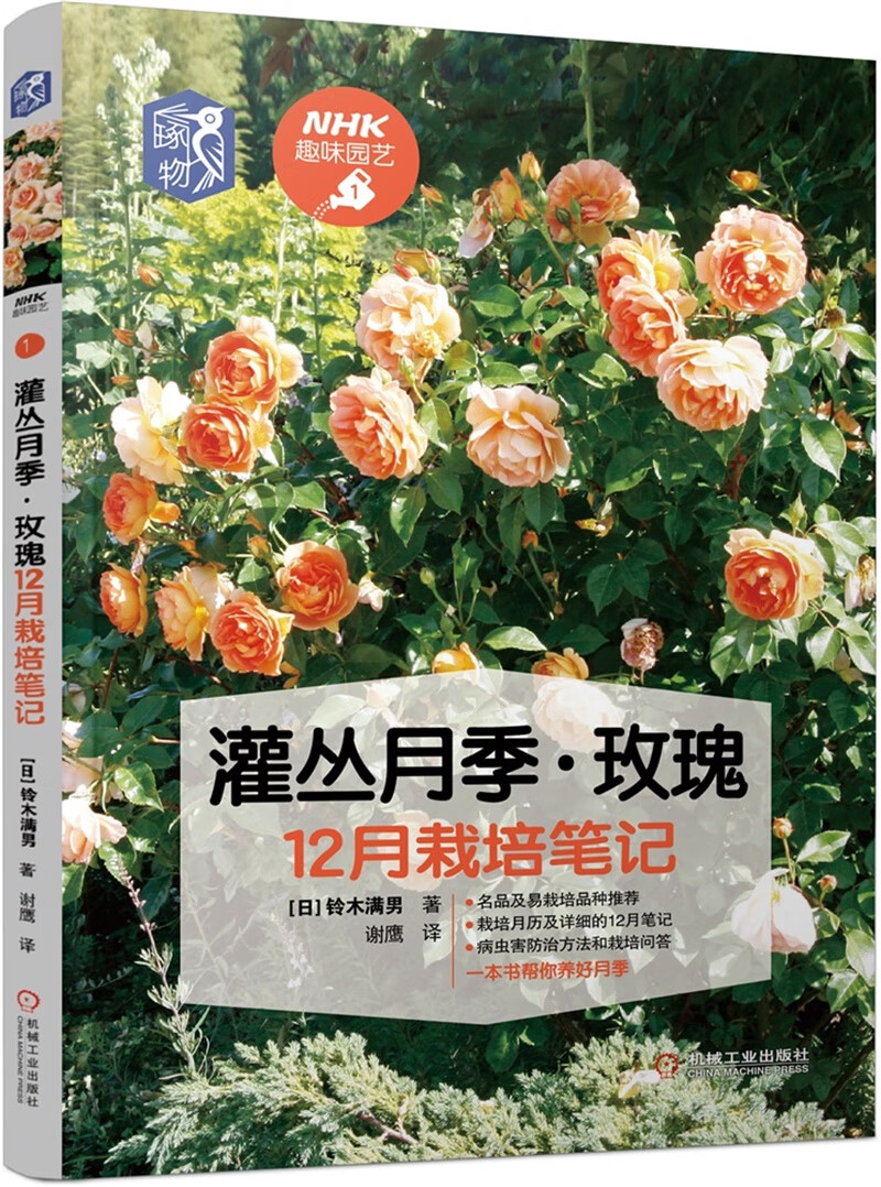 灌丛月季 玫瑰12月栽培笔记属于什么档次？