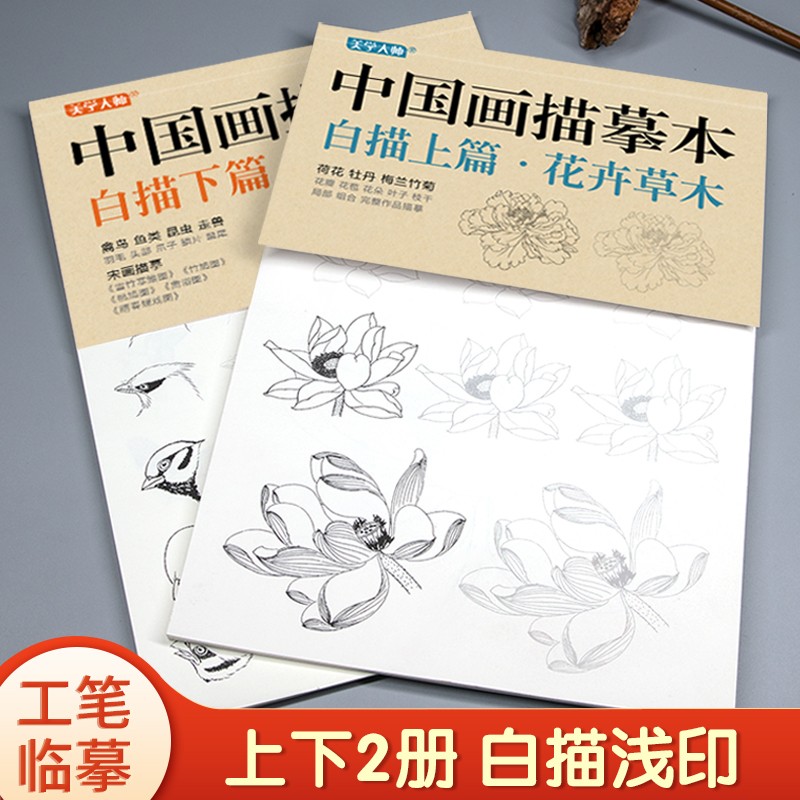 美学大师 中国画描摹本工笔画上下2册/基础训练篇+强化提高篇 花卉草木鸟兽鱼虫绘画临摹本入门零基础书