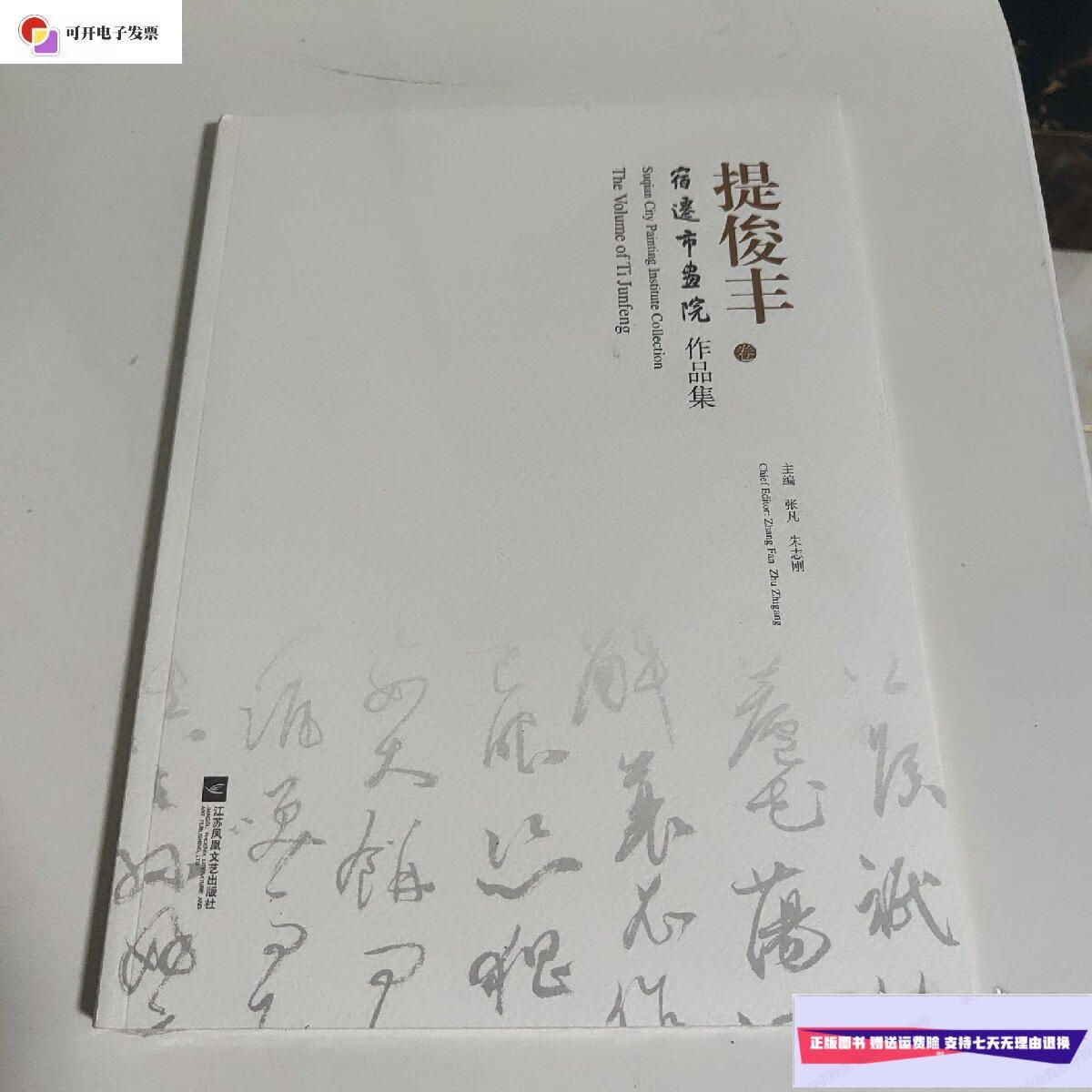 【二手9成新】提俊丰 宿迁市画院 你品集 /张凡 宿迁市画院
