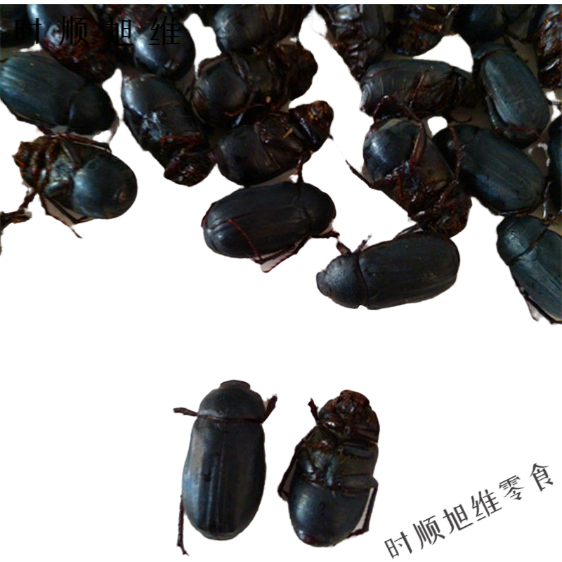 千畅安新鲜瞎眼创子闯子金龟子瞎胖子瞎撞子红孩儿昆虫美食下酒菜