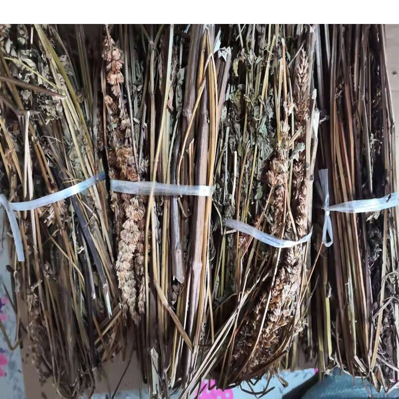 东北猫把蒿干芭蒿藿香排香草铁锅炖鱼料庆岭炖鱼 1斤