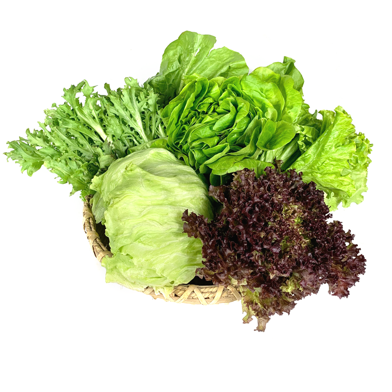 绿食者 沙拉蔬菜组合3.5斤 新鲜苦菊绿叶红叶生菜西餐沙拉健康轻食蔬菜 蔬菜沙拉组合3.5斤【无沙拉酱】