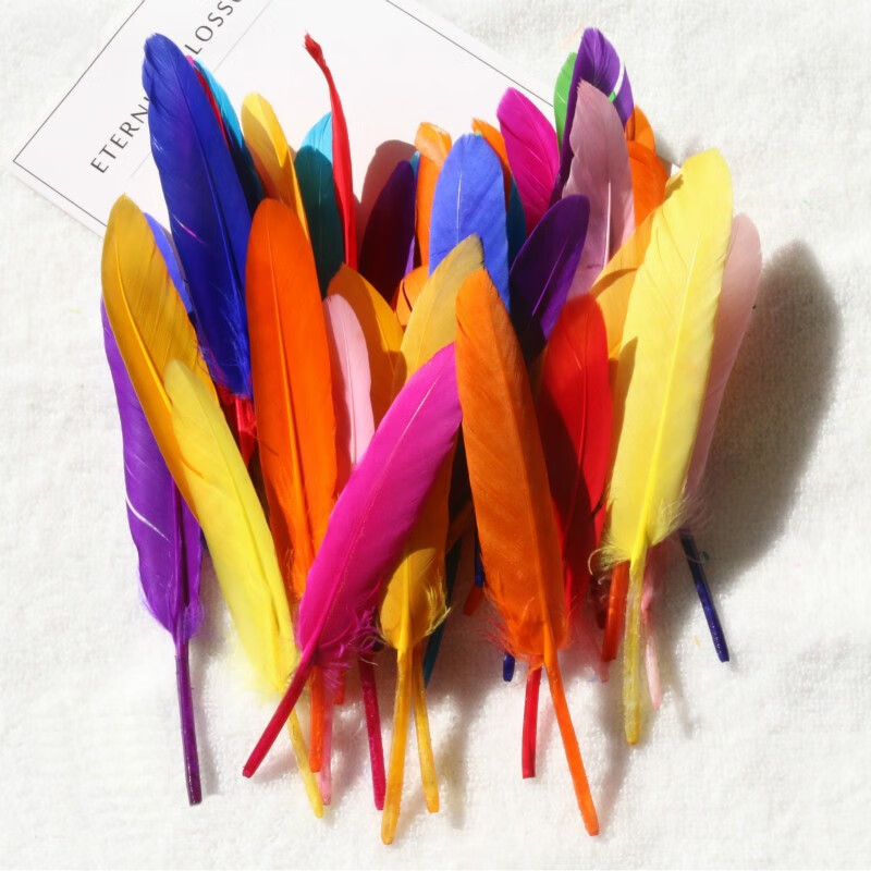 与同办公 大小飘羽毛毛儿童手工diy材料 服饰饰品 时尚彩色羽毛30根