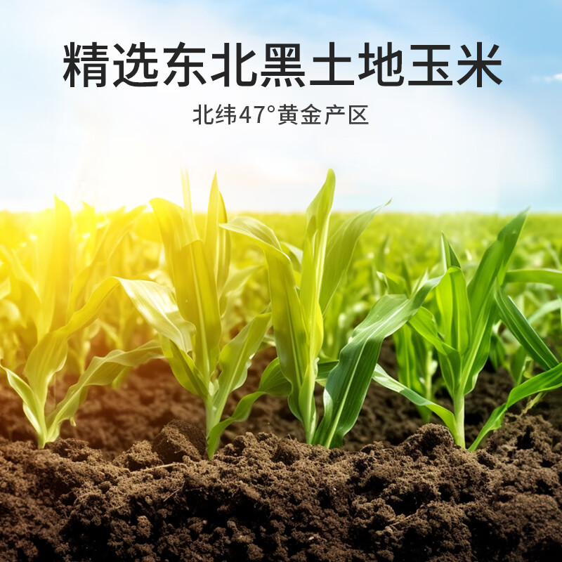 伊威（Eastwes）无麸质早餐脱皮玉米粒易消化开袋即食小包装婴幼儿辅食 【无麸质】脱皮玉米粒50g*10袋