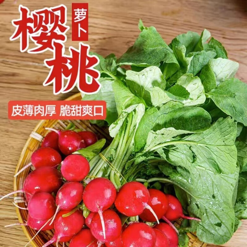 农大姐妹【顺丰速运】樱桃萝卜 甜萝卜 潍坊迷你萝卜新鲜小红丁水果萝卜 1斤