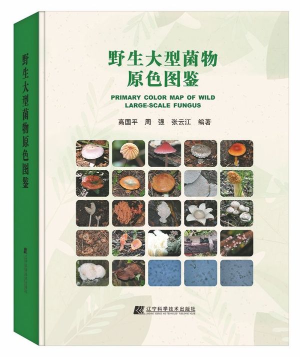 野生大型菌物原色图鉴(精)