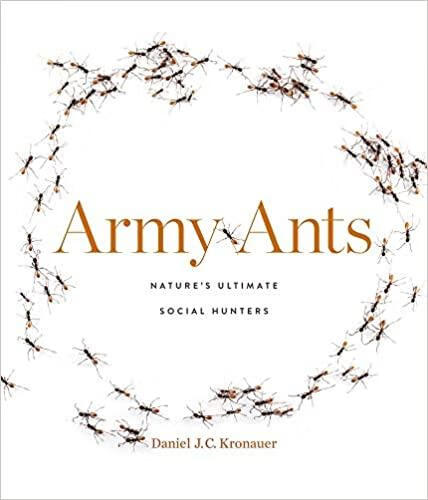 预订army ants: natures ultimate social hunters