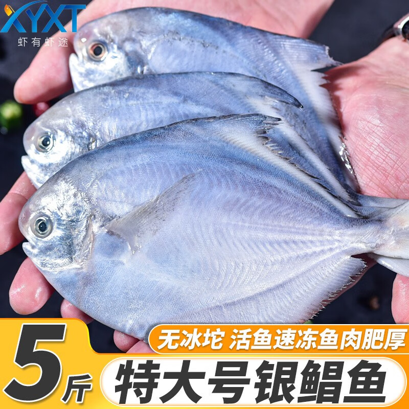 虾有虾途银鲳鱼白鲳鱼特大鲳鱼生鲜 鱼类新鲜冷冻银昌鱼海鱼平鱼海鲜