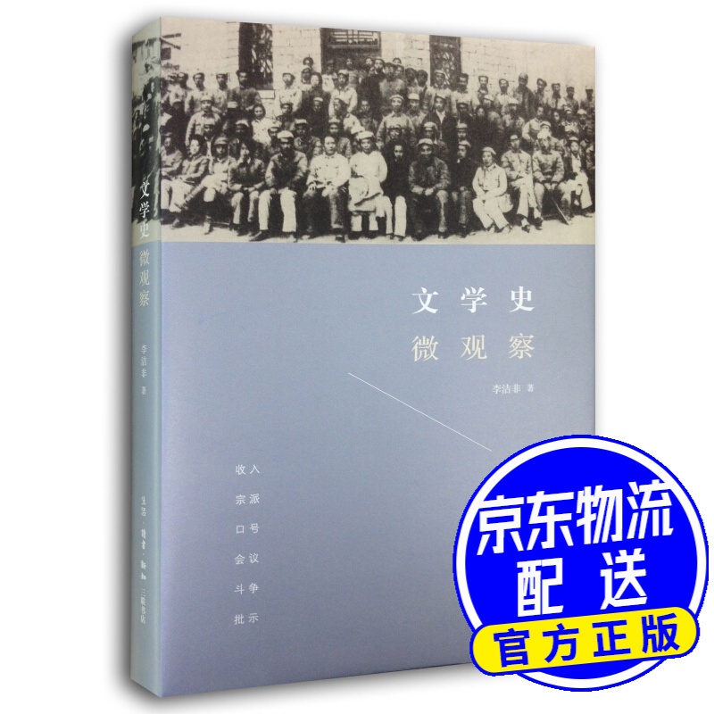 文学史微观察