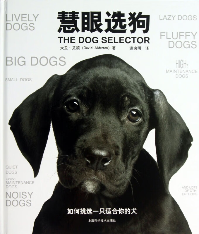 慧眼选狗(精)