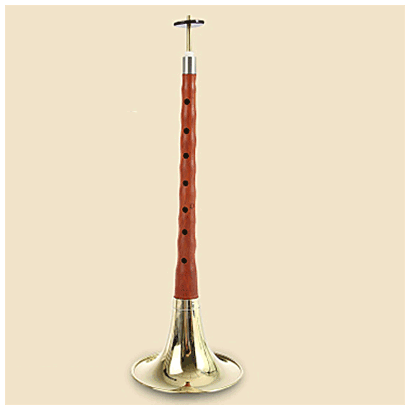 天鹅唢呐新款不定调民间白喜事喇叭乐器初学贵剧吹奏音乐乐器 d调初学