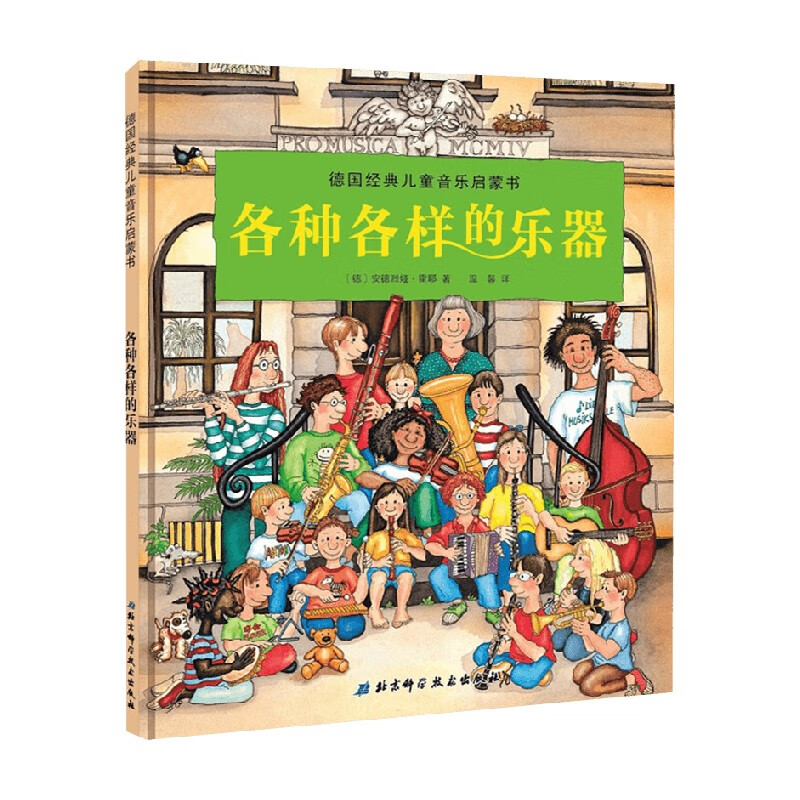 各种各样的乐器 3-6岁 安德烈娅·霍耶 著 儿童绘本