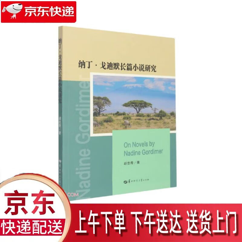 【新华正版畅销图书】纳丁·戈迪默长篇小说研究 华中师范大学出版社
