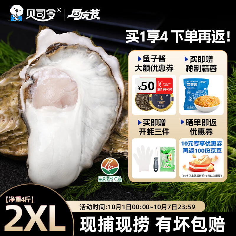 贝司令【鲜活】乳山生态生蚝牡蛎源头直发中秋烧烤2XL净重4斤 13-17只