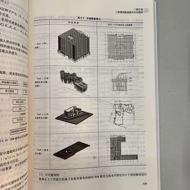 地理数据数字水印建模与原理详情图