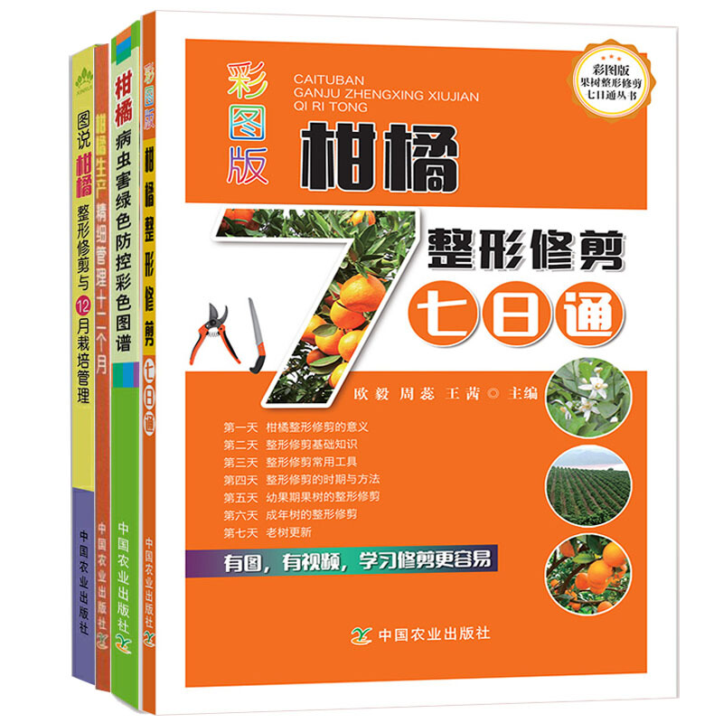 柑橘种植技术书籍4册 果树橘子桔子修剪农业种植管理技术高效栽培大全书病虫害防治生产精细管理十二个月